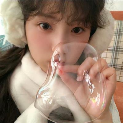 极地爱恋