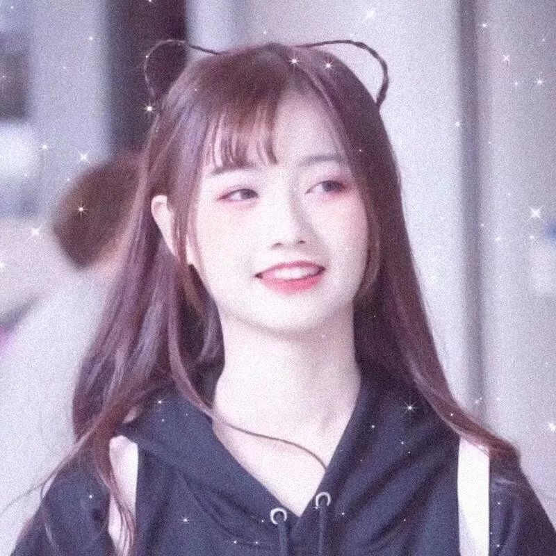 寻找小津